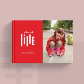 City of Lille 2013